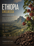 Ethiopia Chelbessa