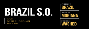 BRAZIL SINGLE ORIGIN (wholesale)