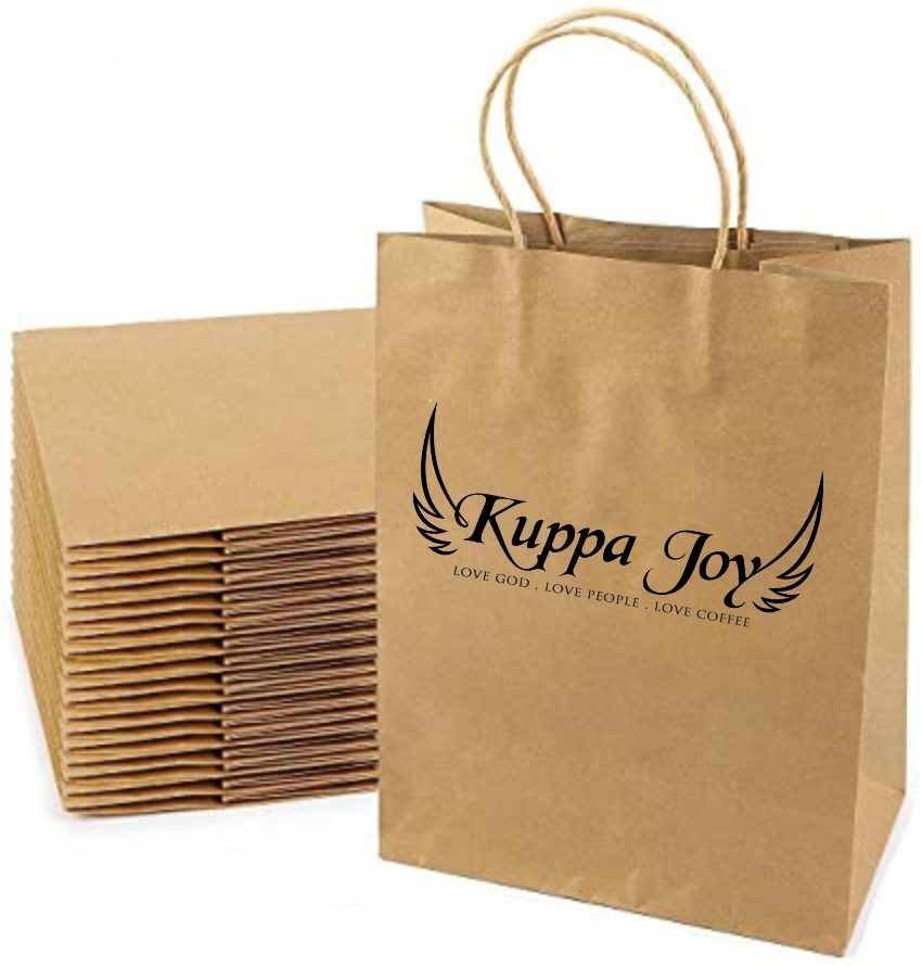 Paper Shopping Bags- 10 Pack